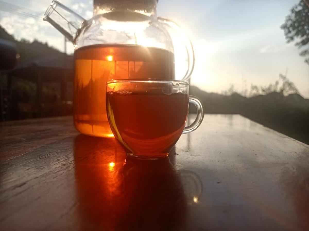 Long Co Tran - Homestay&Tea Ceremony Loung Co Luaran gambar
